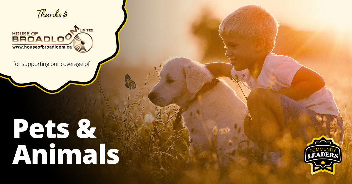 250926_houseofbroadloom_clp_petsandanimals_house-1200x628